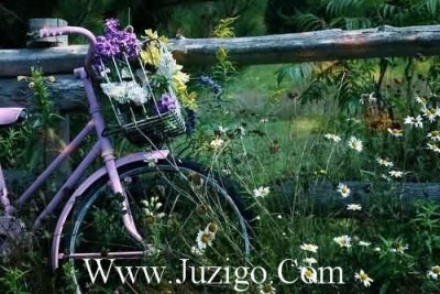 ​唯美伤感句子较长100句