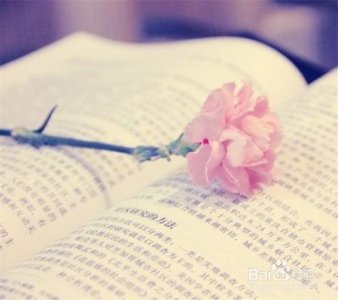 ​暖心治愈句 求一些治愈暖心的句子。谢谢l