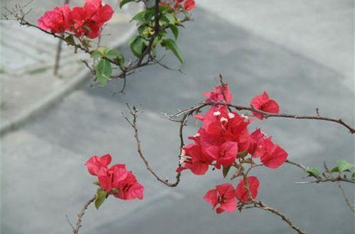 唯美淡淡伤感句子