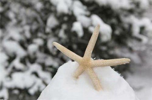 适合男生表达极度伤感心情的句子(通用190句)