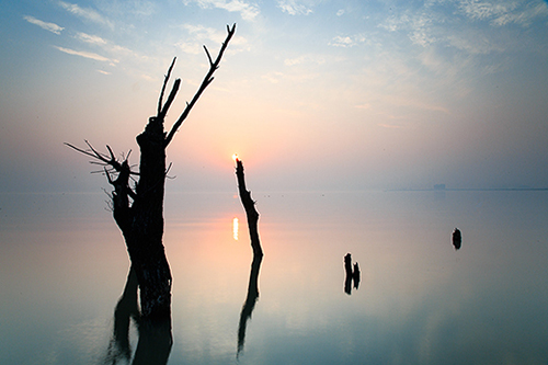 秋伤的句子83句