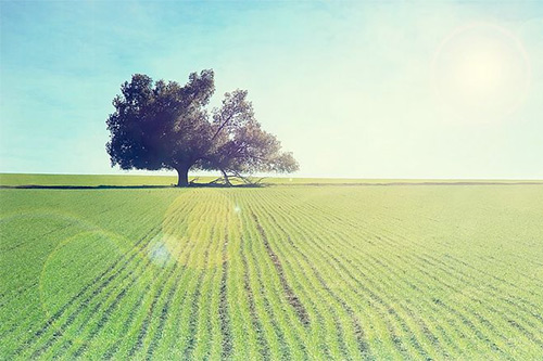 安慰伤心人的话语84句