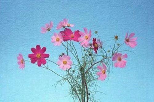 关于离别的伤感句子短语大全