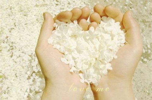 令人心疼的伤感句子