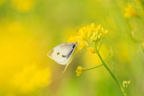 2025年常用文艺伤感句子100句