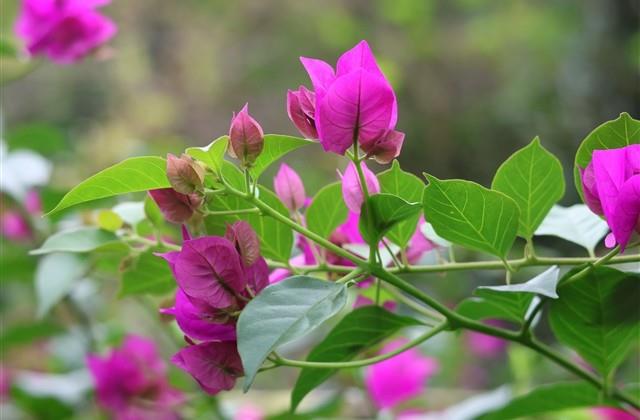 伤感的句子带人生感悟 伤感说说心好累了