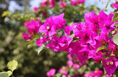 ​伤感的句子带人生感悟 伤感说说心好累了