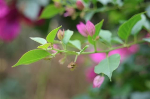 伤感个性签名男生心碎