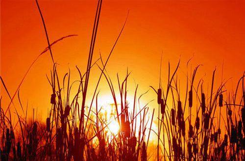 2025年有关伤心爱情句子30条