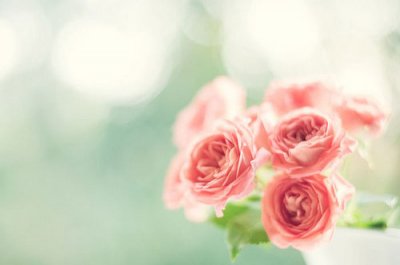 ​两个人坚守爱情的句子坚守自己的爱情的句子