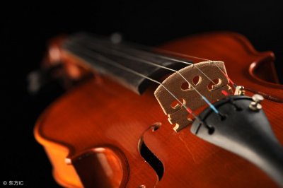 ​练琴励志的经典语句（30个关于学琴的经典语录）