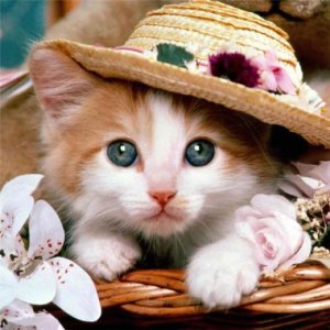 ​励志的正能量短语句子 关于正能量的标题