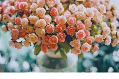 瞬间让人感动的句子