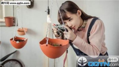 ​赞扬爱国情怀的词语 形容爱国的成语50个