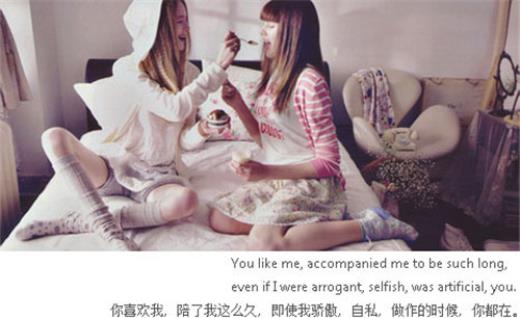 赞扬爱国情怀的词语