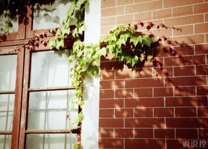 爱情哲理说说:有些人说不清哪里不好,但就是将就不了