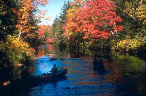 人生感悟励志语句集锦