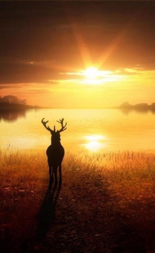 qq个性背景图励志