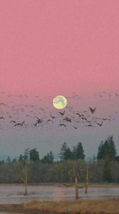 ​对爱情失望无奈的句子（看透一切的绝情句子）