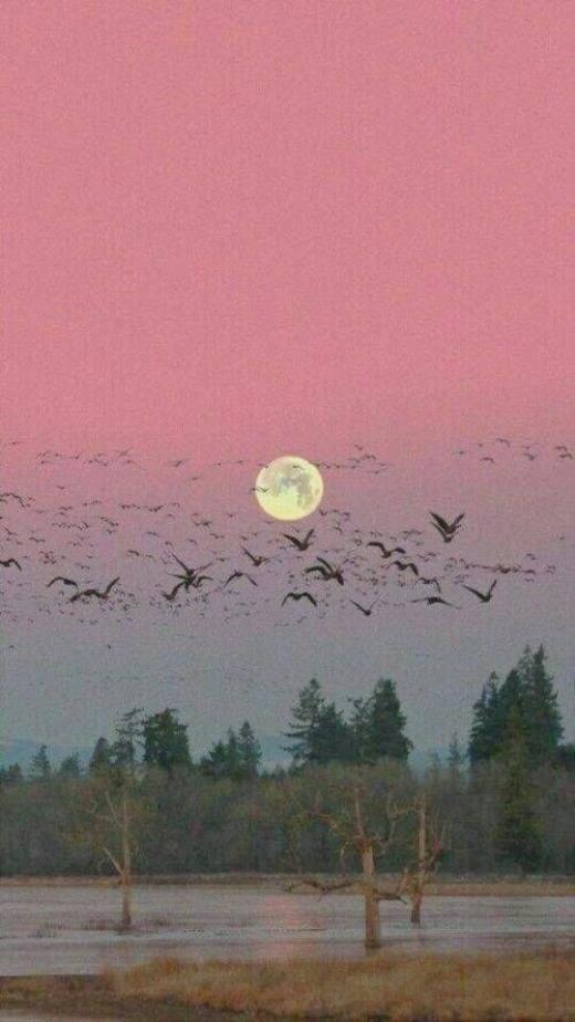 看透一切的绝情句子