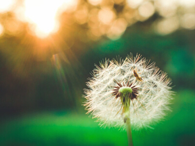 爱情说说心情短语:你不喜欢的我都消退,你爱的细节我都翻倍