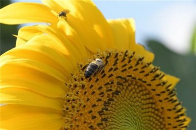 ​改变自己正能量的句子（调整心态激励人的句子）