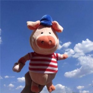 ​想你的情话[24条] (爱情话语甜蜜唯美浪漫)