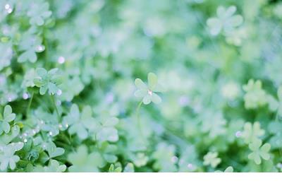 表达爱情的古风句子