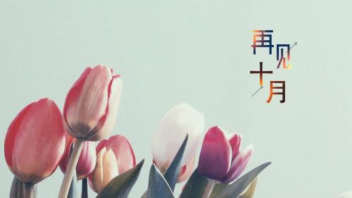 关于唯美古风的爱情句子