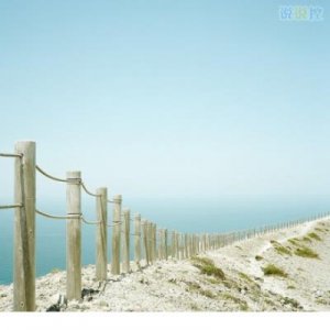 ​植树节套路情话（植树节土味情话回答）