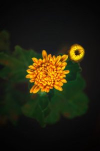 ​同学聚会经典句子 表达甜蜜爱情的句子