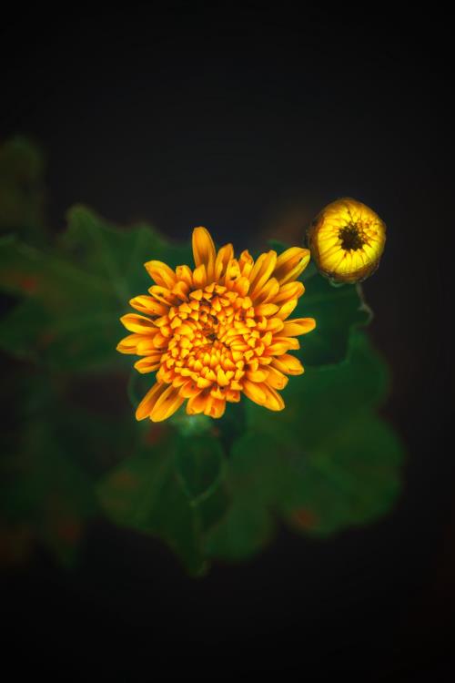 同学聚会经典句子