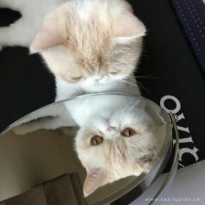 ​抖音爱情句子简短（抖音最火情侣短句）