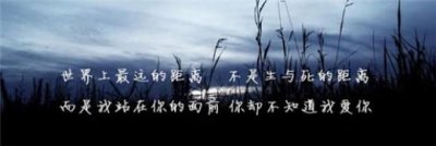 ​关于爱情的句子[30句] (现实感情扎心语录)