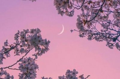 ​简单的抖音最火的伤感句子85条