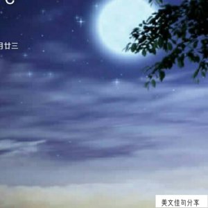 ​伤感的古诗词描述爱情的(表达凄凉爱情的125句子)