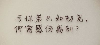 挽回一个女孩的心句子 如何挽回一个女孩的心