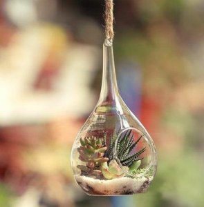 ​早安晨语分享每日一条正能量心语推荐33句