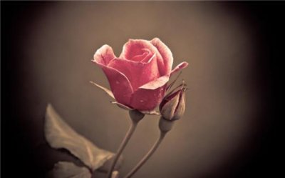 ​微商励志说说配图,微信微商励志签名