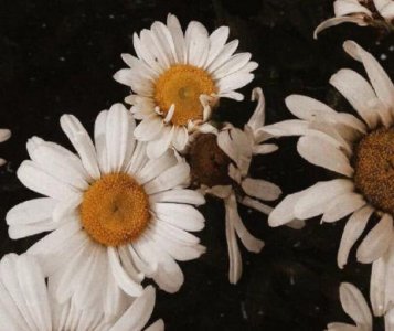 ​每日清晨微语短句 早安简短正能量语录精选32句