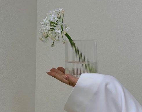 梦想青春励志 句子