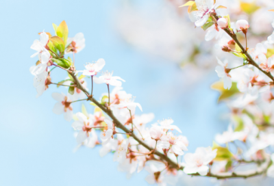 ​关于适合当座右铭的励志短句（小众惊艳的座右铭）