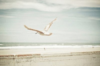 ​给女生表白的话给女生表白的话(15句)