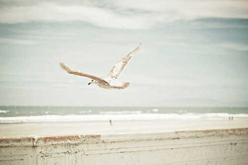 给女生表白的话 给女生表白的话(15句)