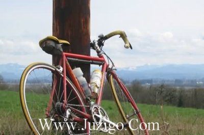 ​励志搞笑说说搞笑视频(19句)