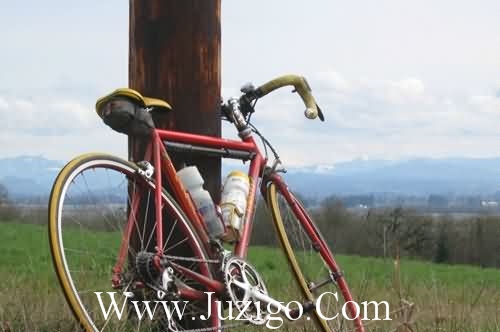 励志搞笑说说搞笑视频(19句)