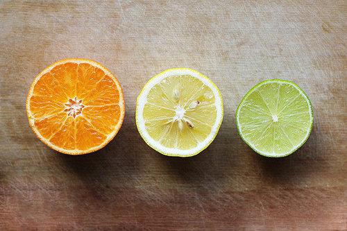 竹子扎根的励志句子(24句)