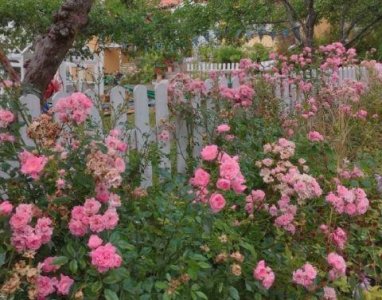 ​心灵鸡汤情感伤感语录 心灵鸡汤伤感语录短句(精选79句)