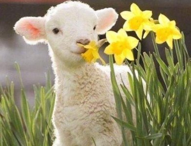 ​毕业的伤感说说