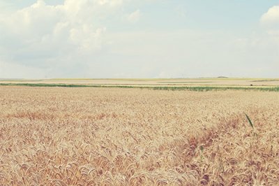 ​伤感唯美的句子73句